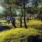 PASEO EN BICICLETA DE MONTAñA EN MADRID